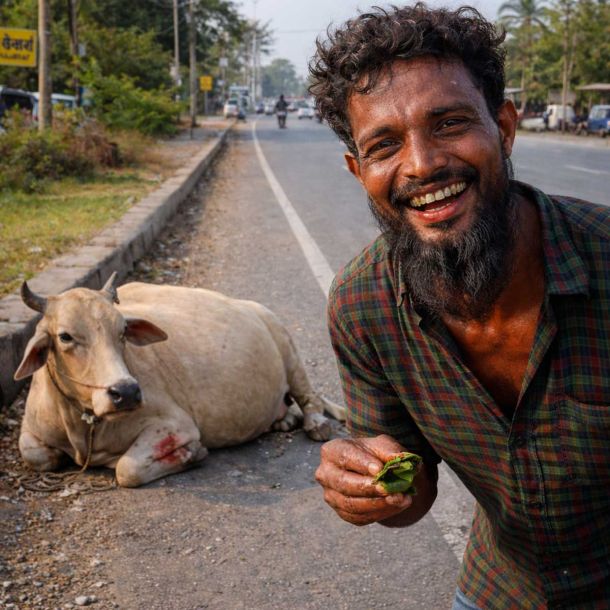 Gujarat: Pregnant Cow Killed in Valsad; Adult and Minor Held, Sword Attack Allegation on Gau Rakshaks