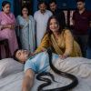 The Serpent's Bed: Inside the Cold-Blooded Murder of a Meerut School Owner