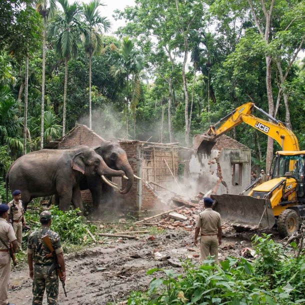 Assam Forest Reclamation: 660 Hectares Cleared in Sribhumi Over Two Days