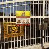 Disturbing Actions in Canada: Khalistan Supporters Target Hindu Temple, Elevate Slain Activist as 'Hero'